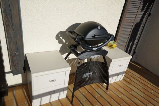Weber-Gasgrill