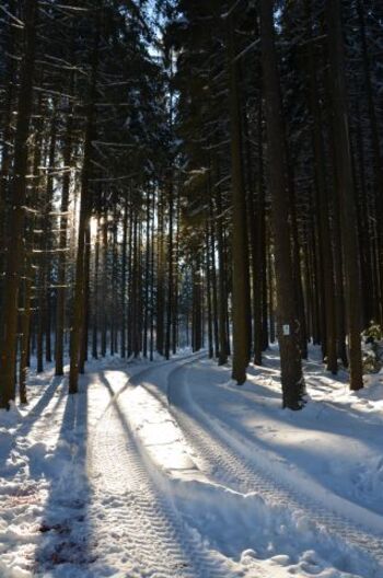 Fichtelgebirge Winter