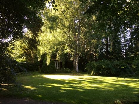 Komplett eingezäunter Garten