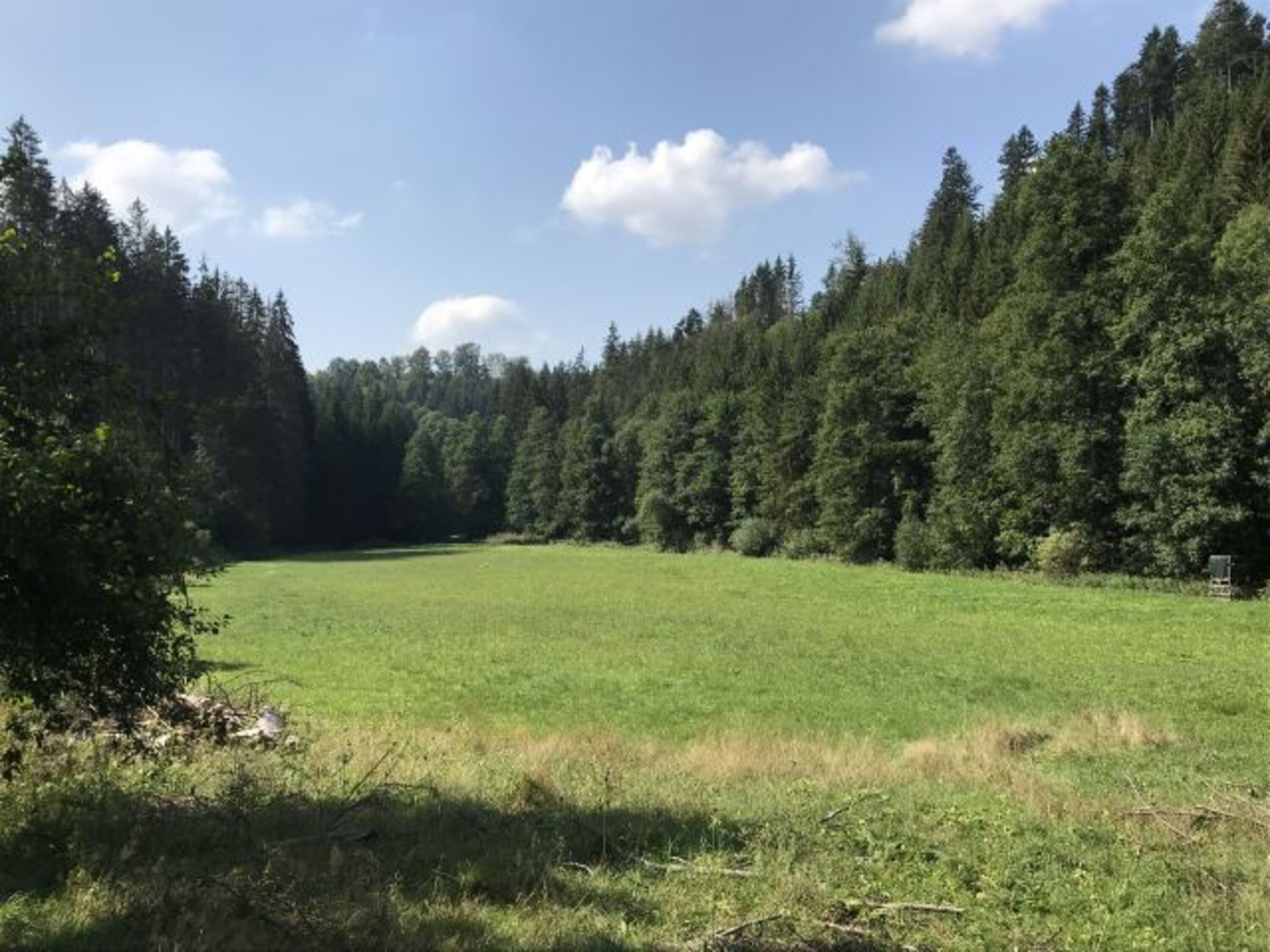 Mühlenweg