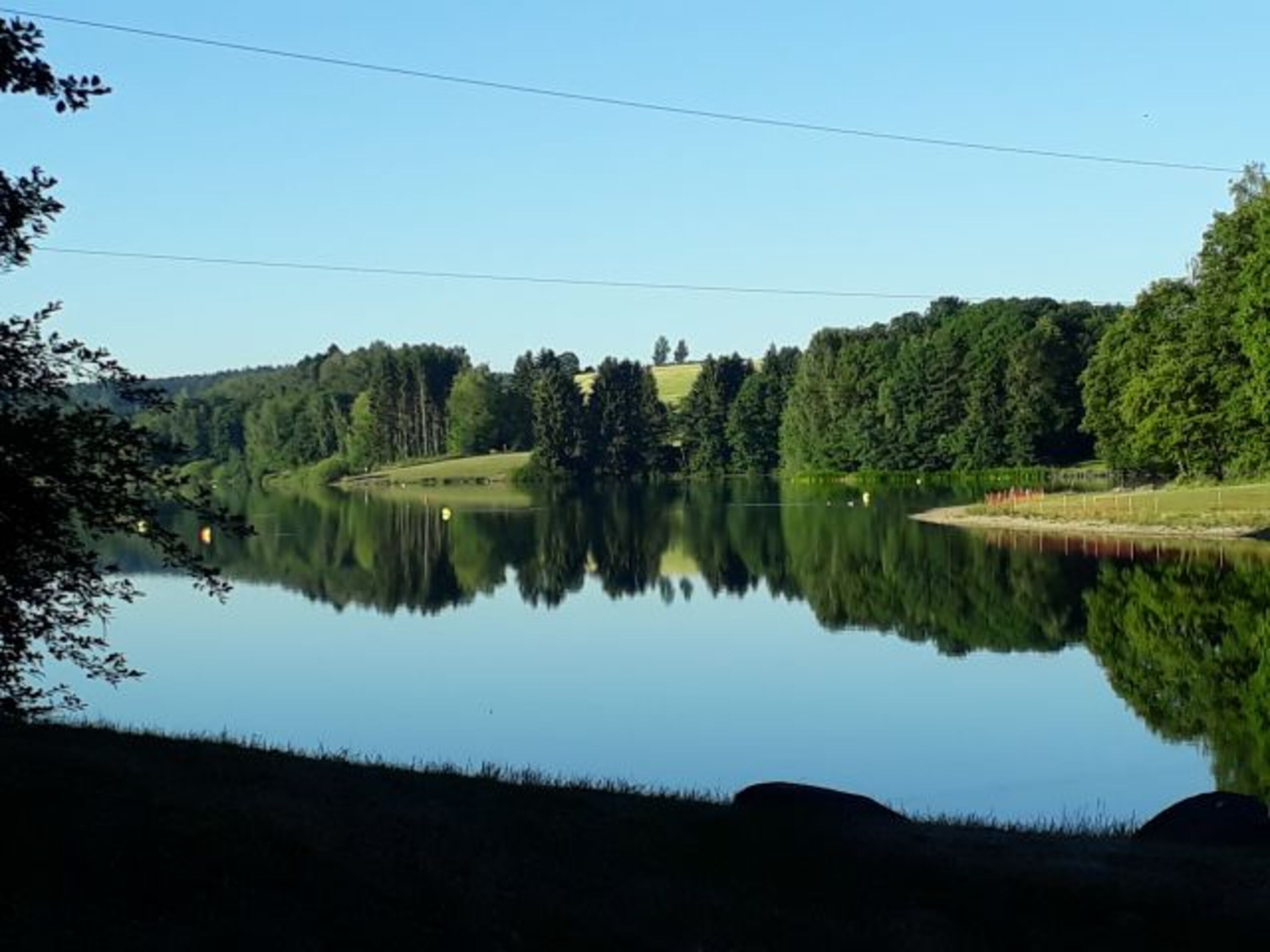 Untreusee Hof