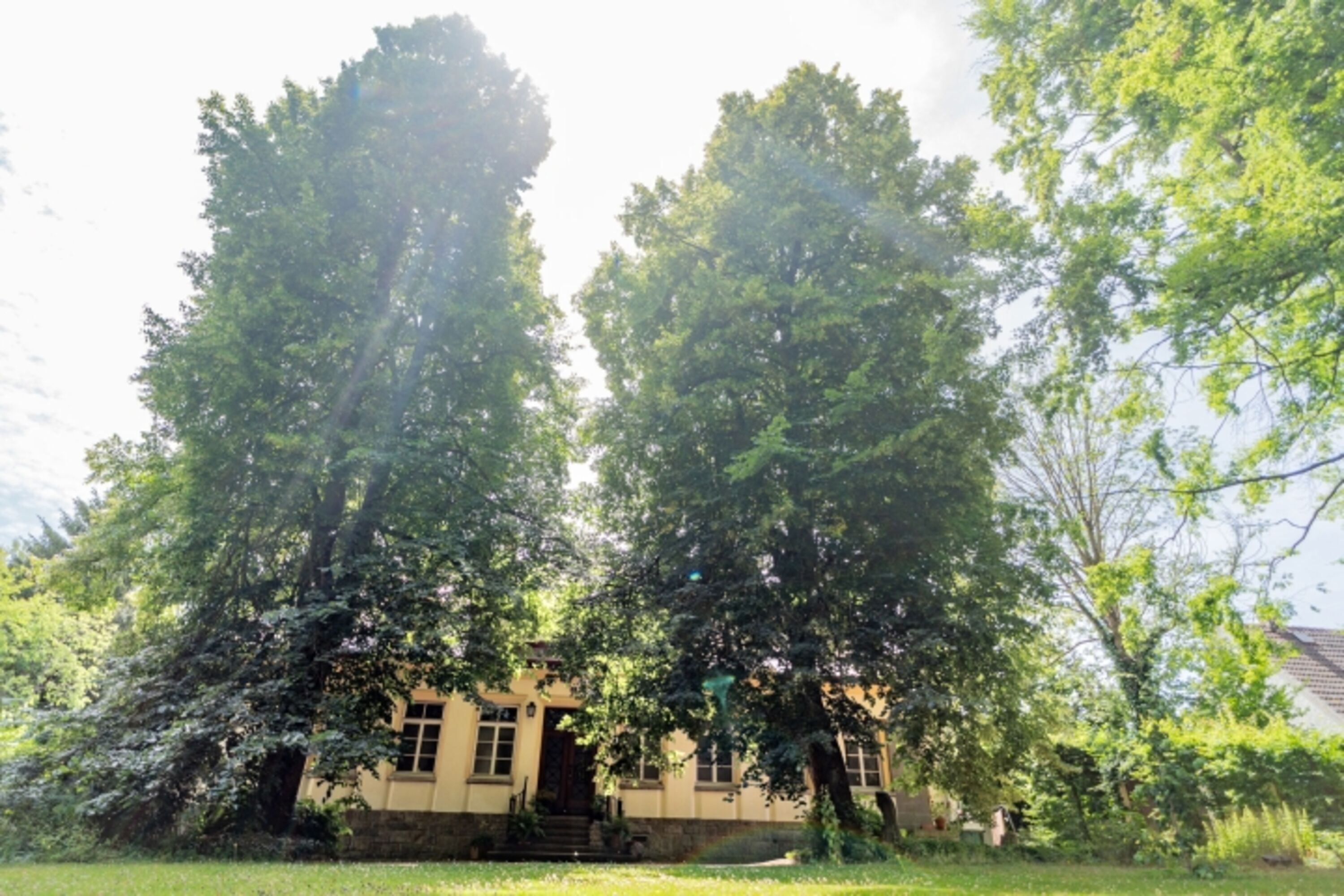 Haus und Garten