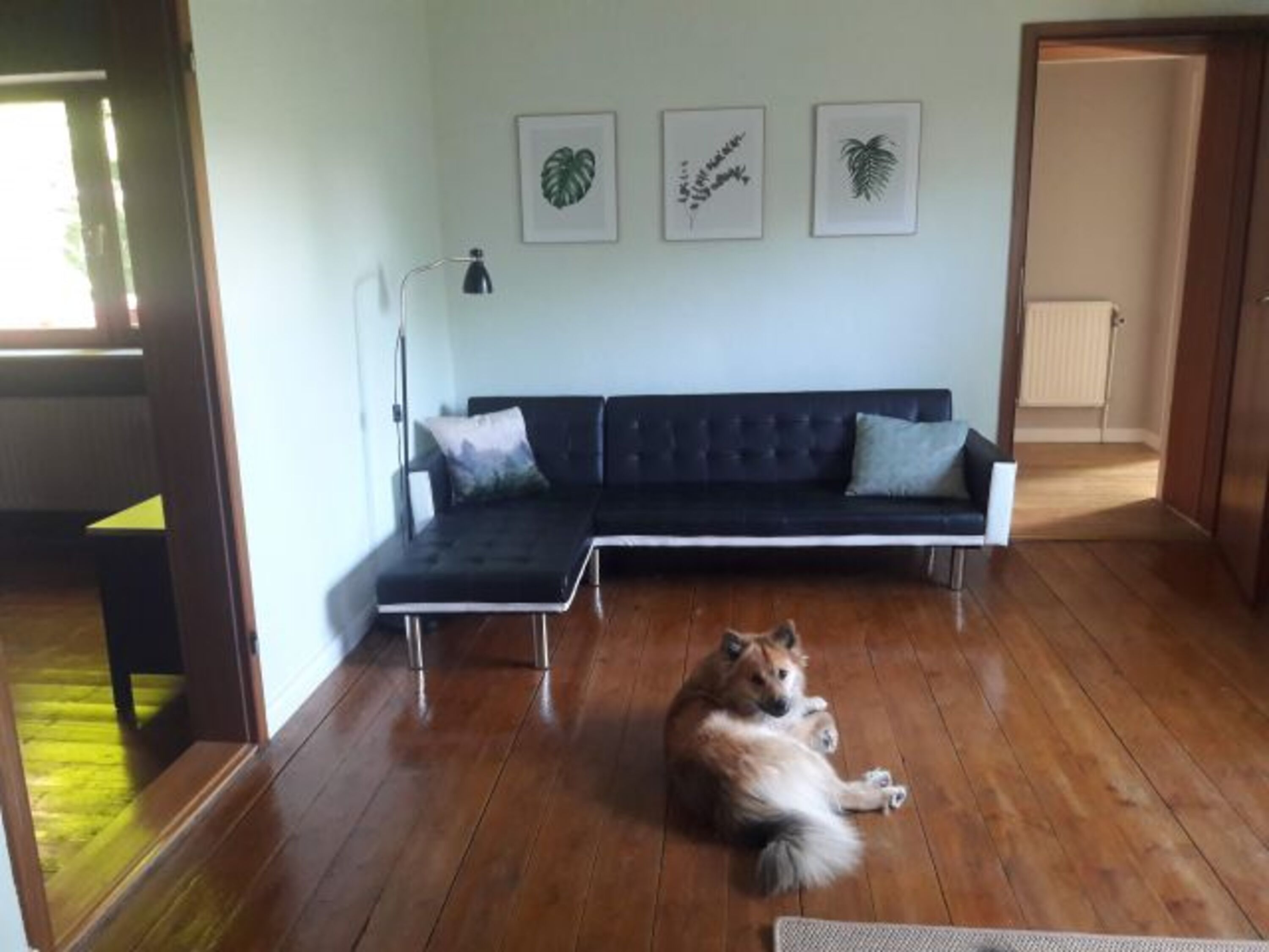 Bild 12