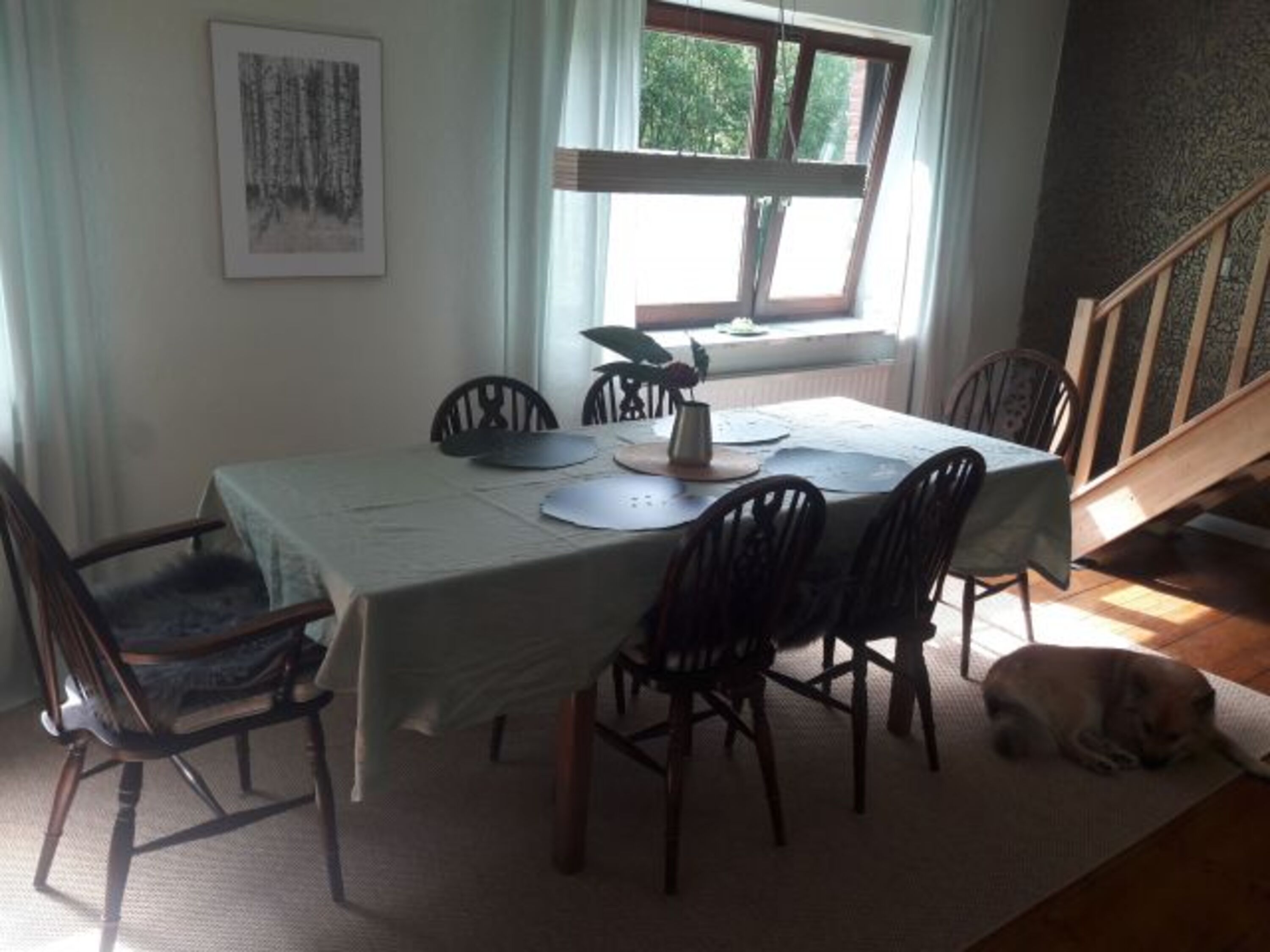 Bild 13