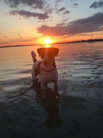 ein erfrischendes Bad in der Ostsee