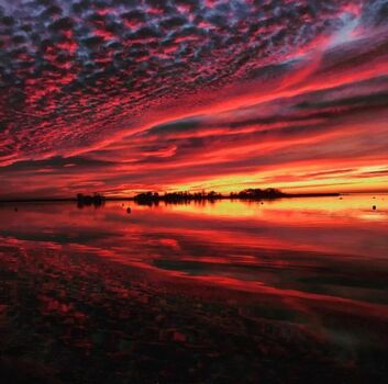 schöner geht´s nicht....