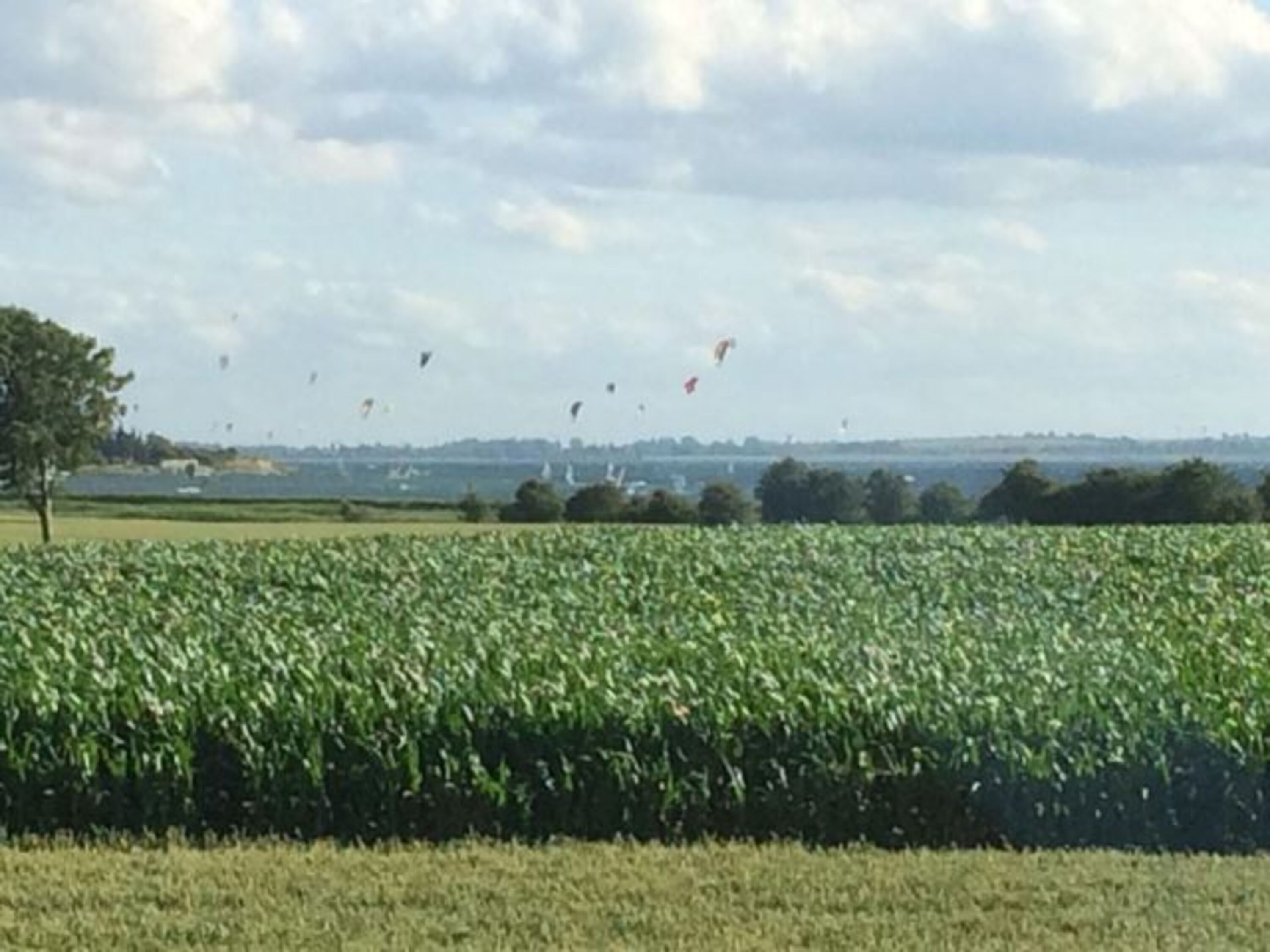 die Kitesurfer geniessen den Wind !