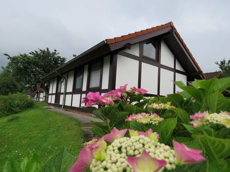 Mohikaner Hausbeispiel 