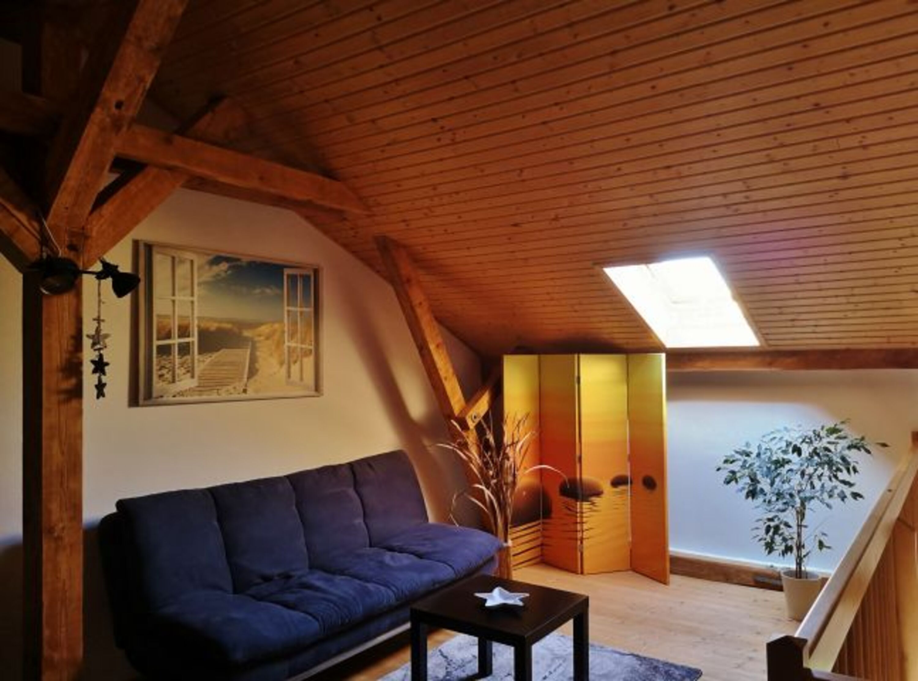 Bild 7