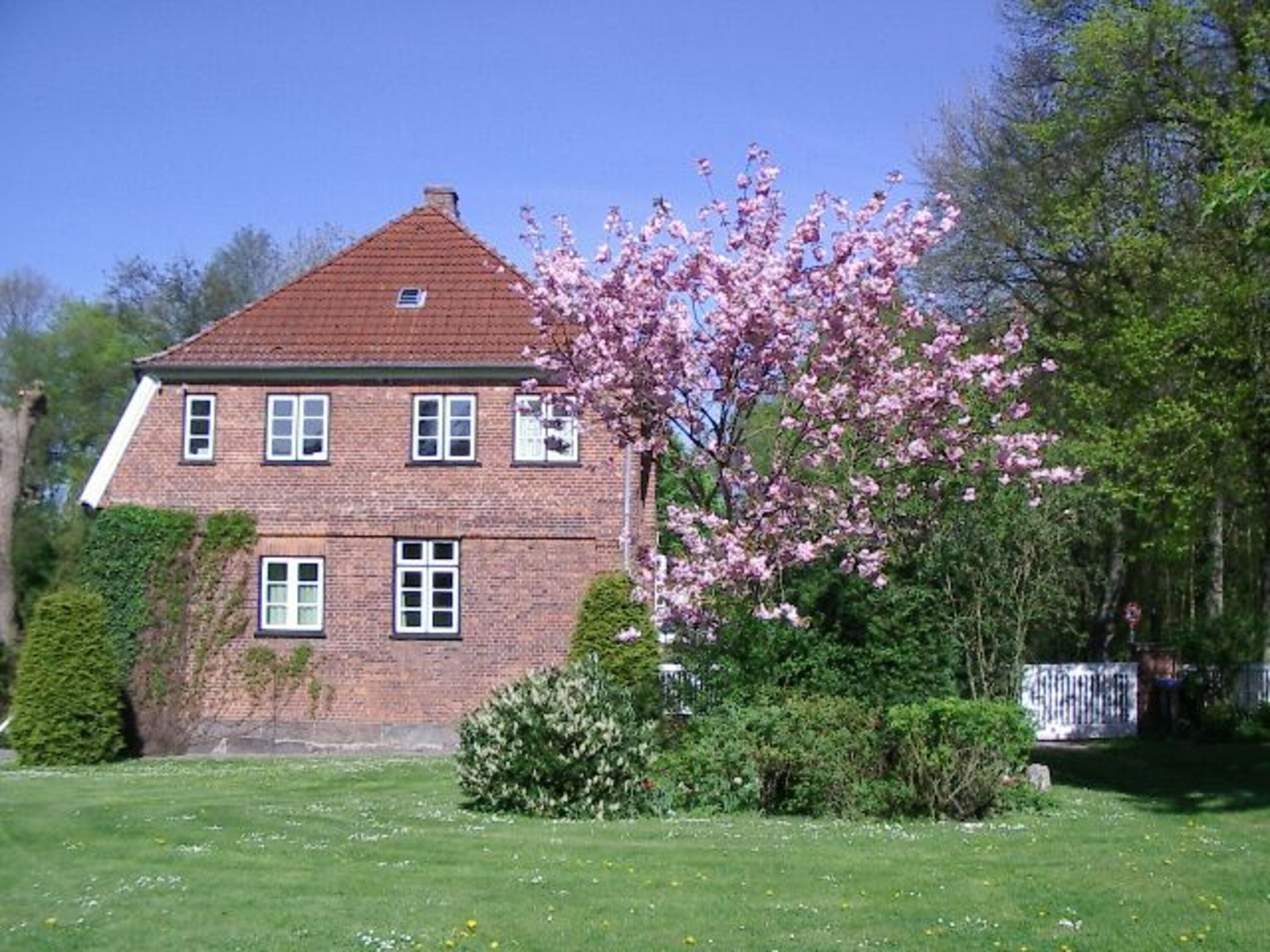 Das Frühjahr