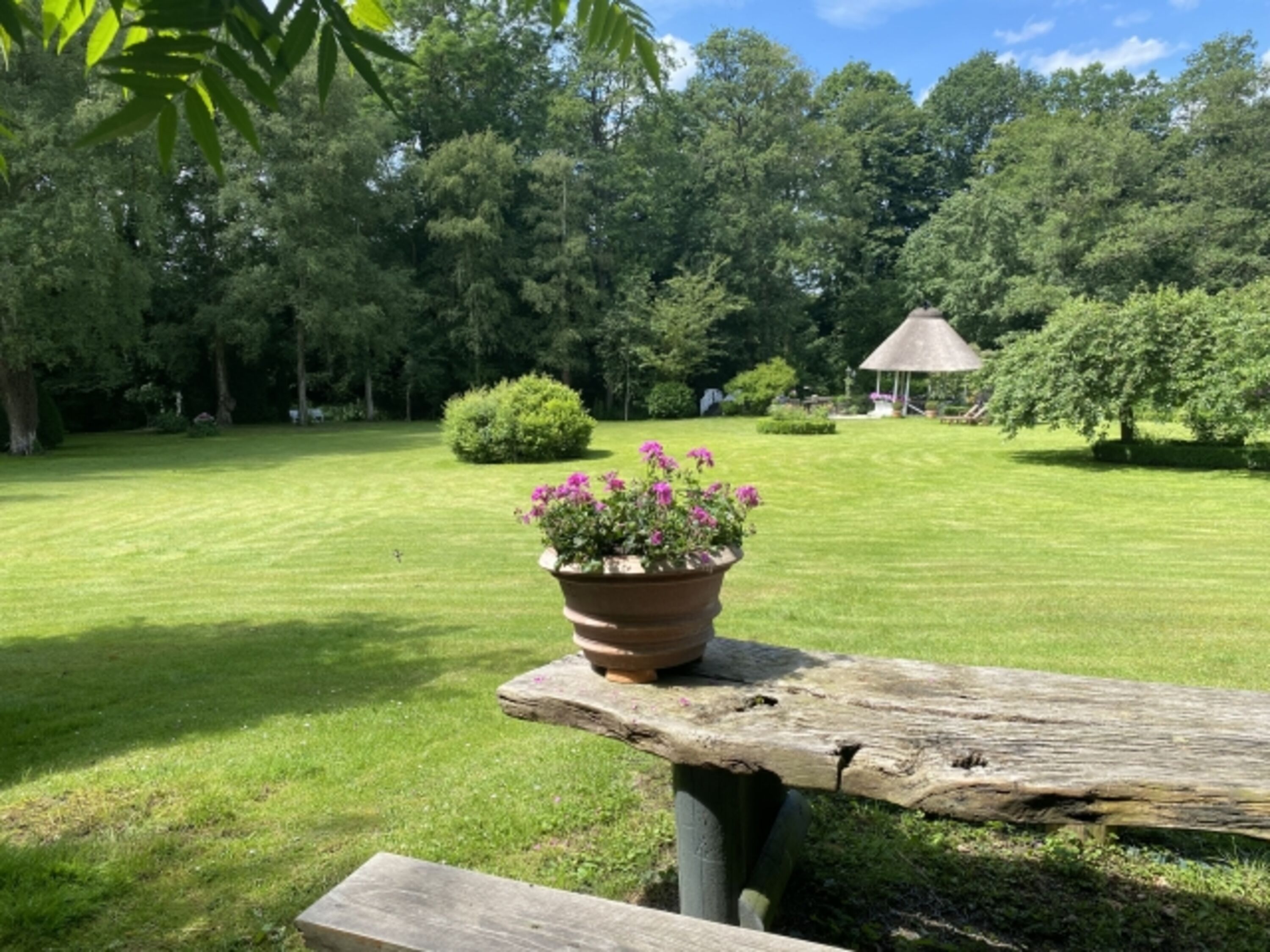 Im Garten