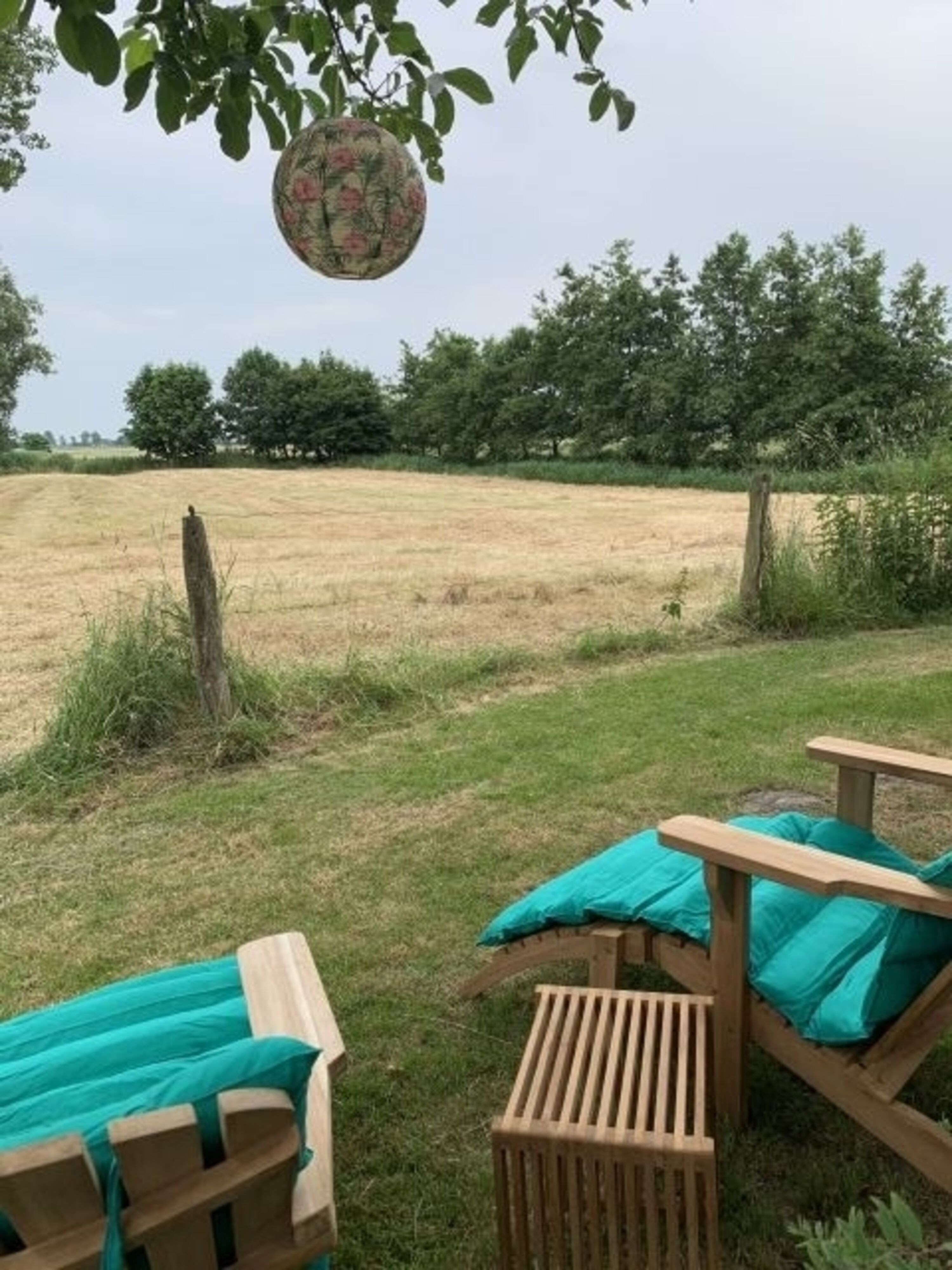 Bild 15