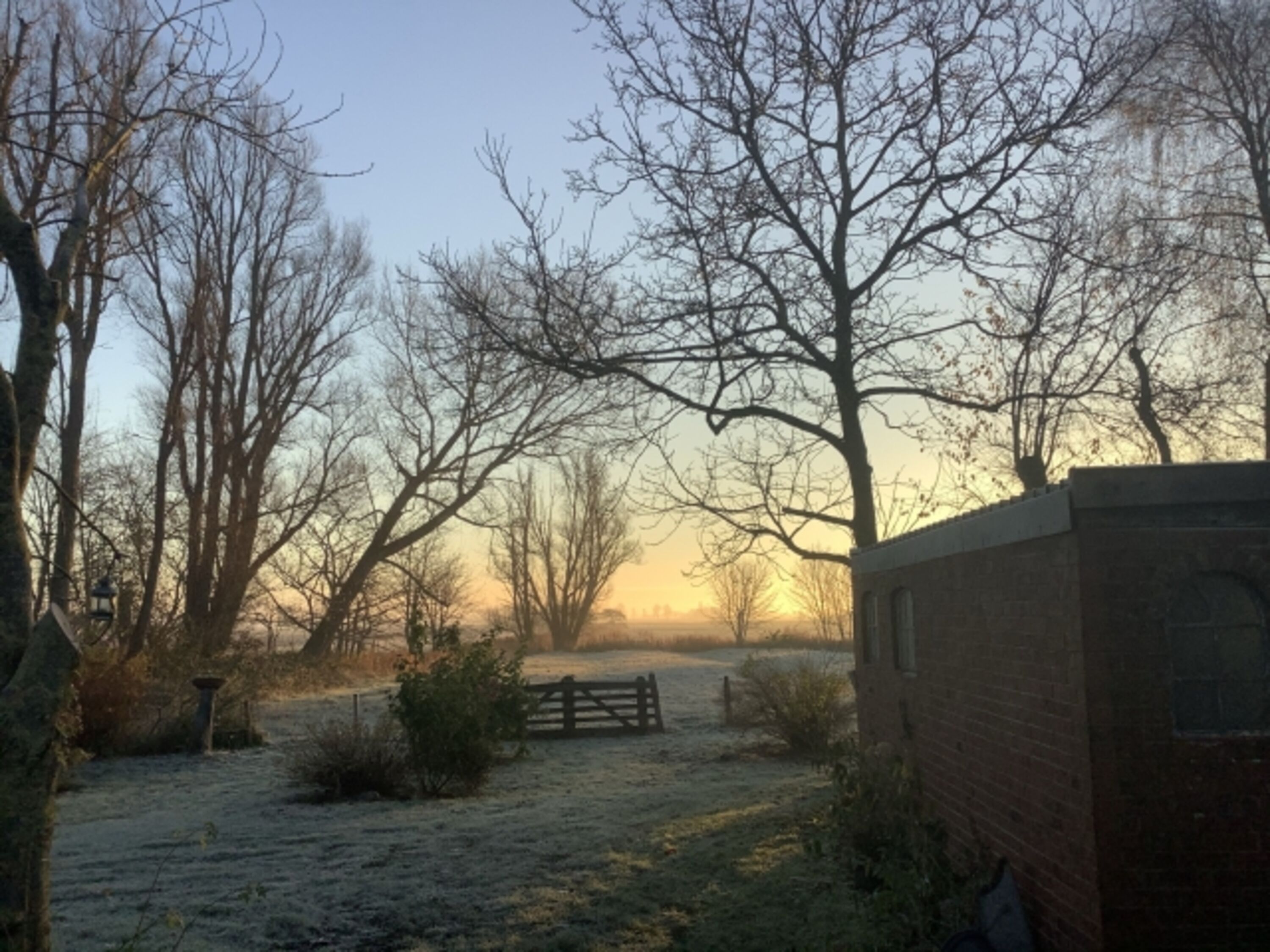 Winter in Witzwort 