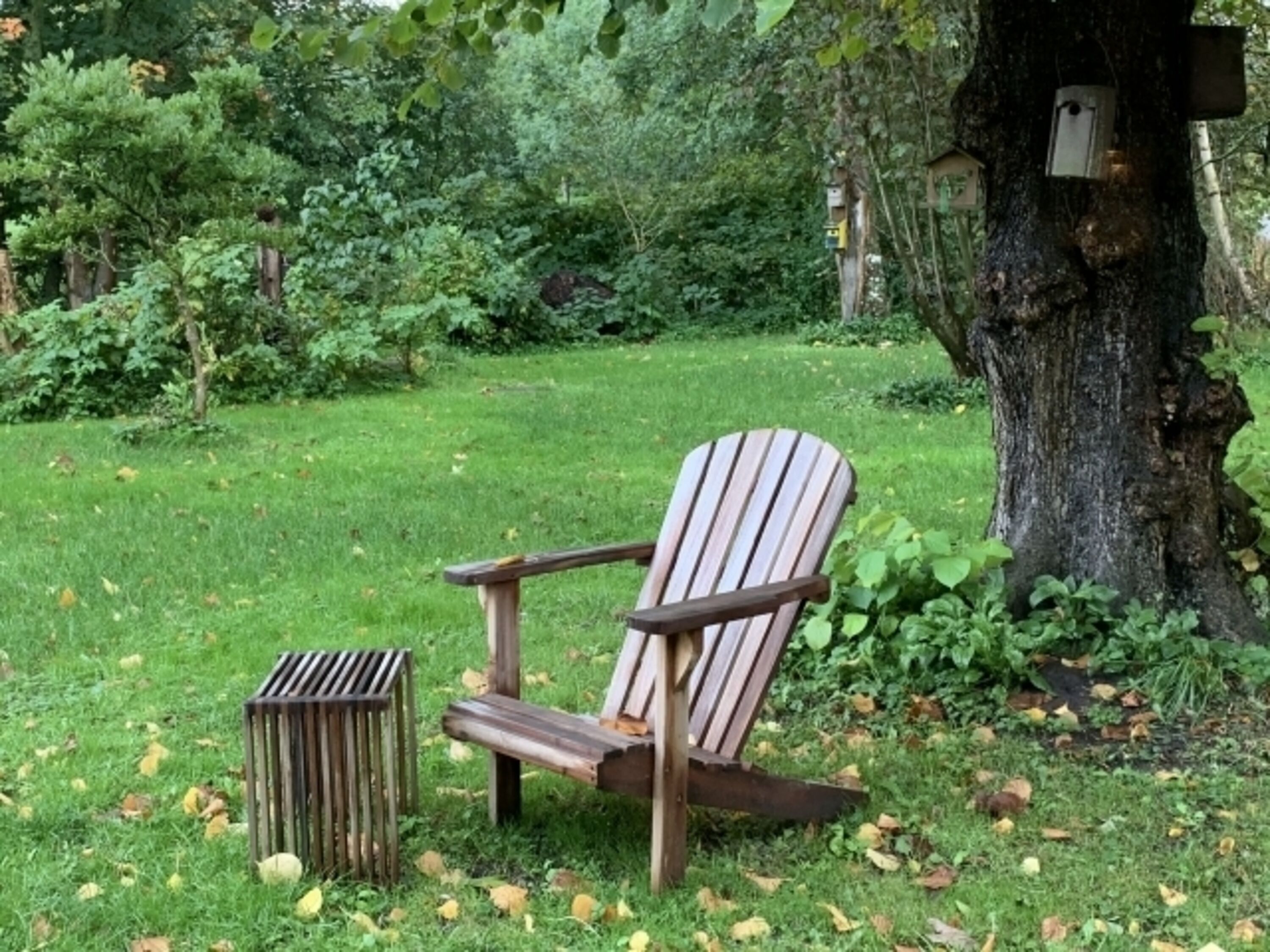 Herbst 