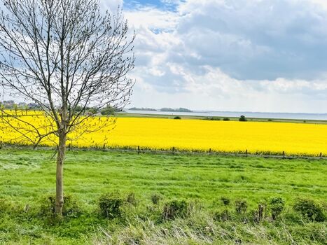 Blick von unserem Hof (40 Meter von der Wohnung entfernt aufgenommen)