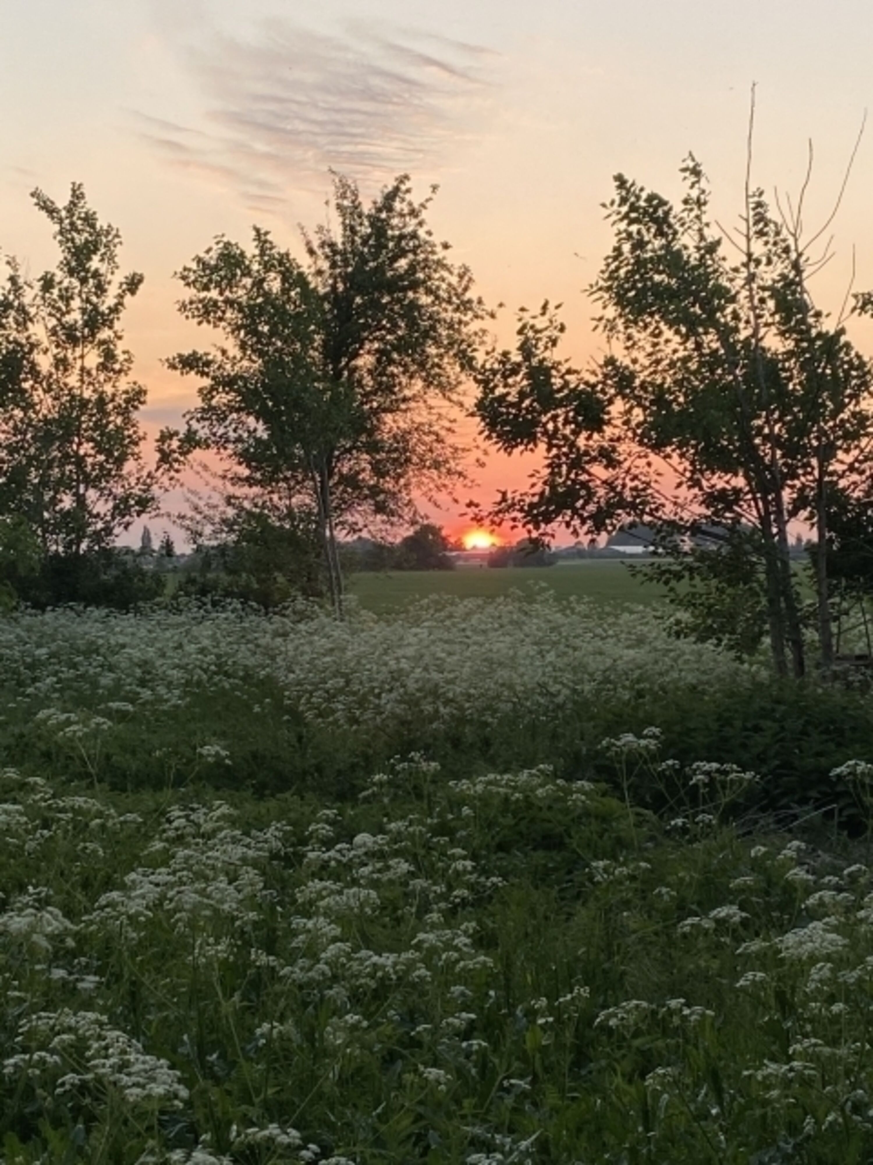 Sunddown