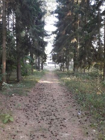 Weg vom Strand zu unserer Anlage