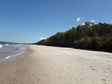 nur 400 m bis zum Hundestrand 