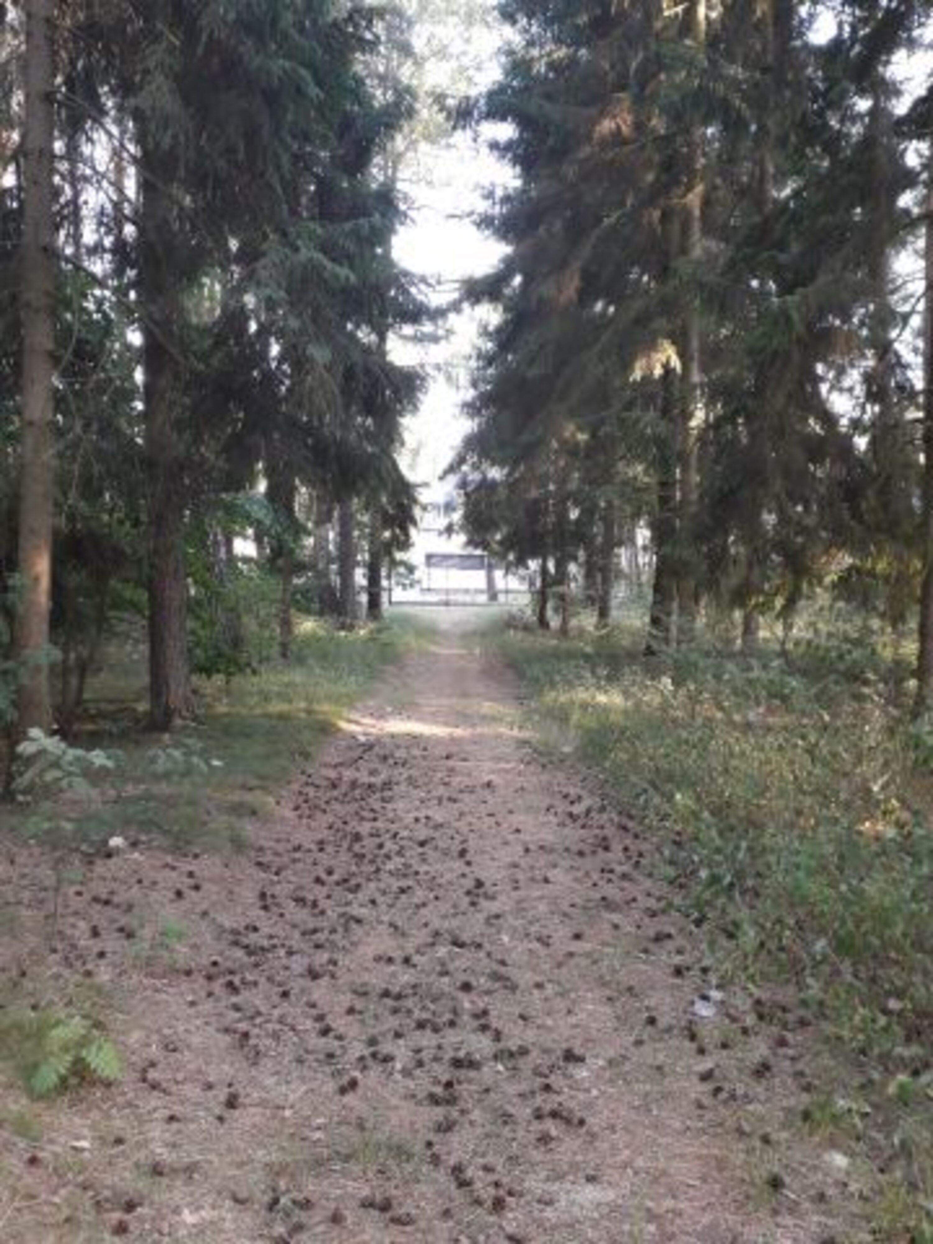 Weg vom Strand zu unserer Anlage