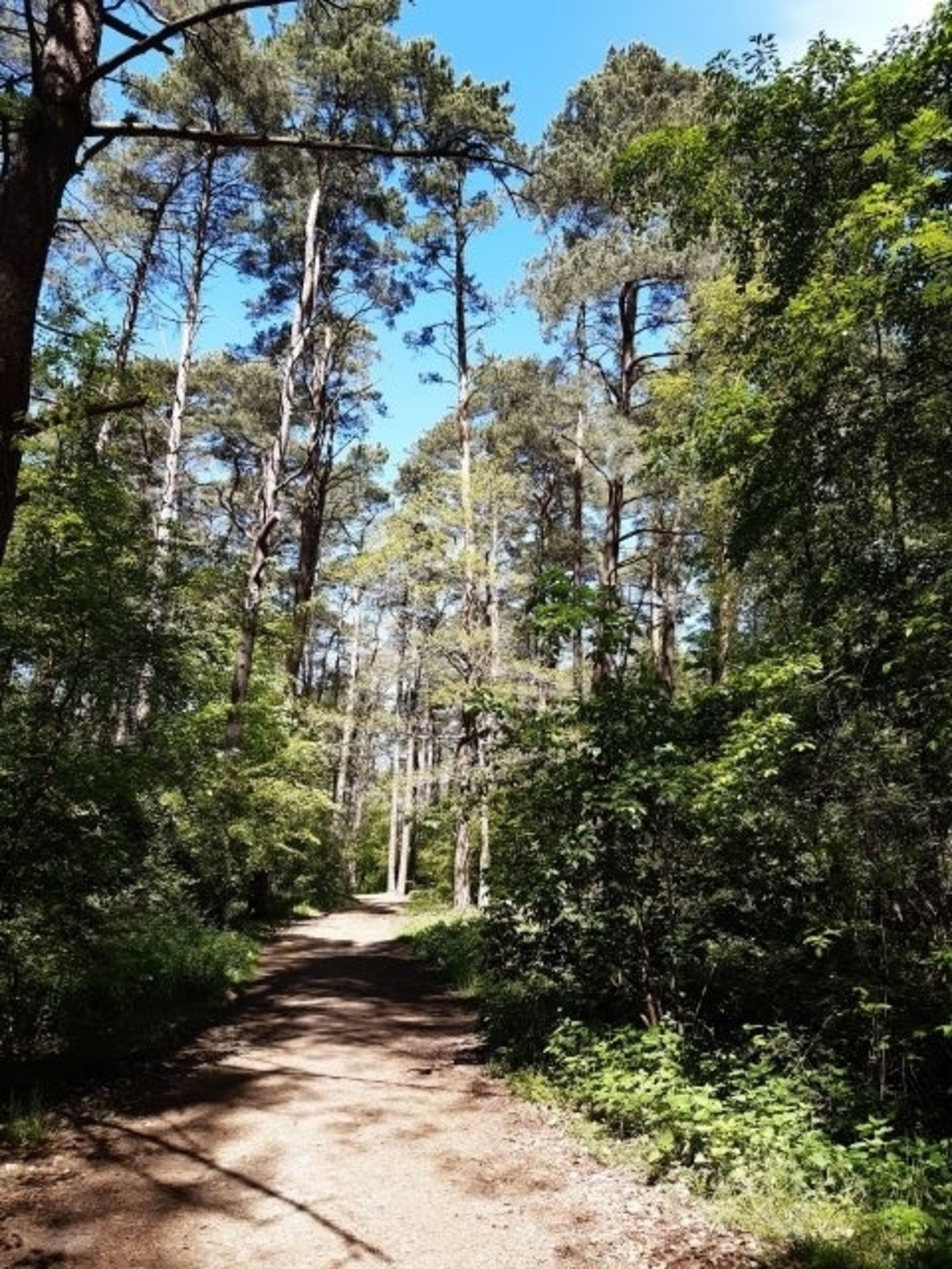 Weg zum Strand