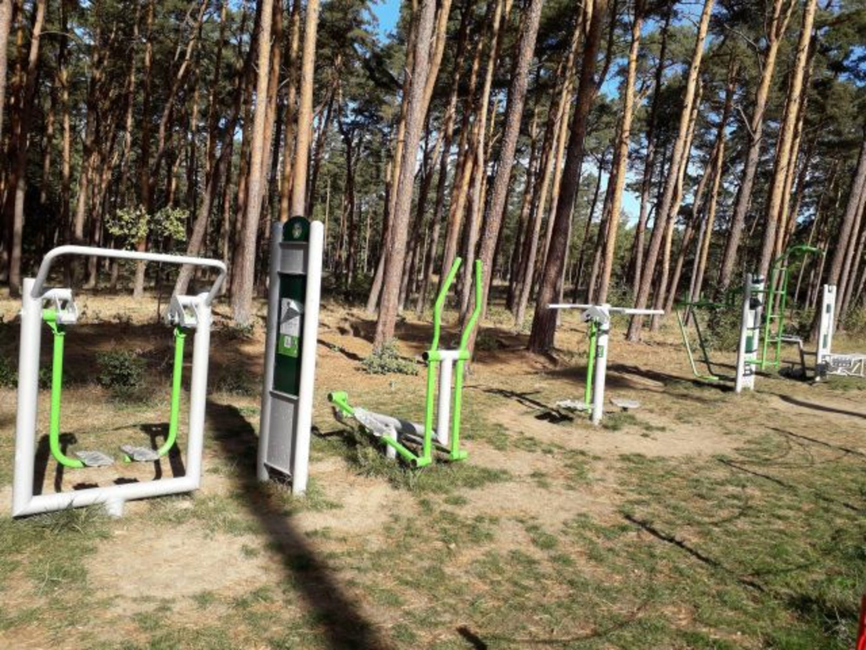 Fitness