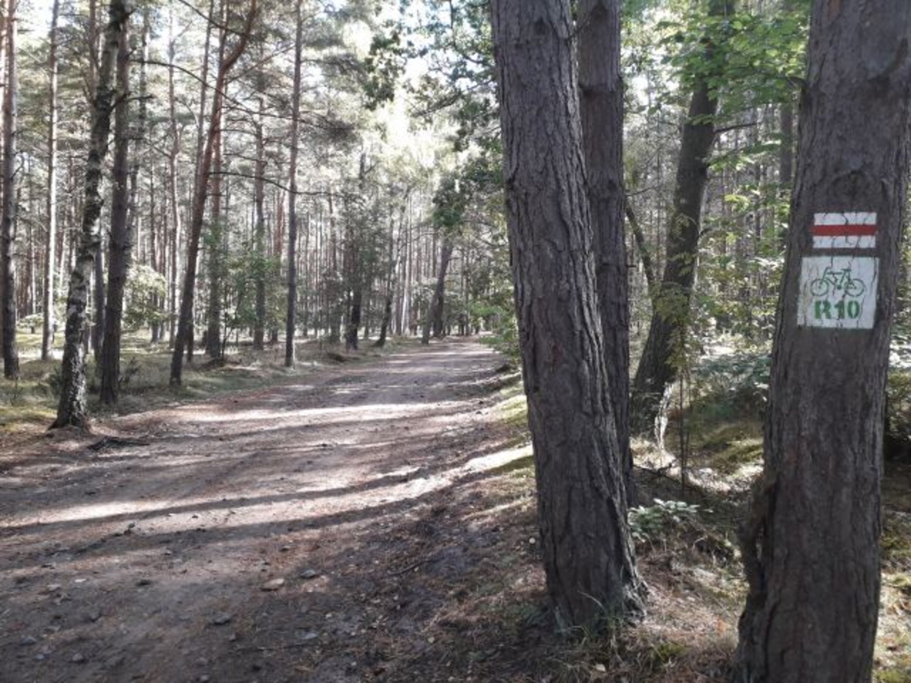 Radweg