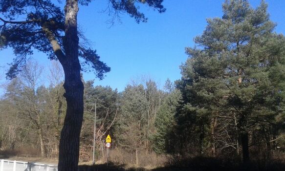 Blick vom Balkon aus