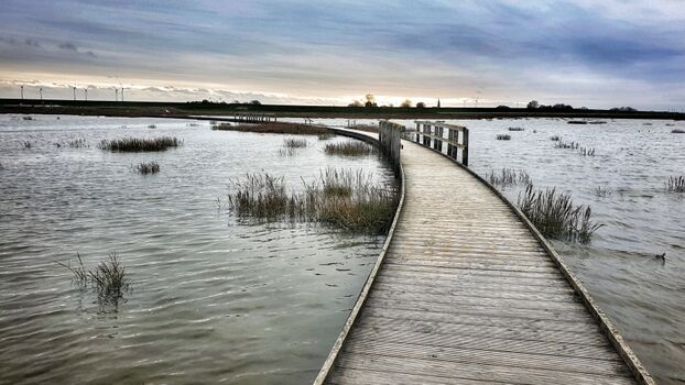 Langwarder Groden - einer der schönsten Wanderwege Deutschlands