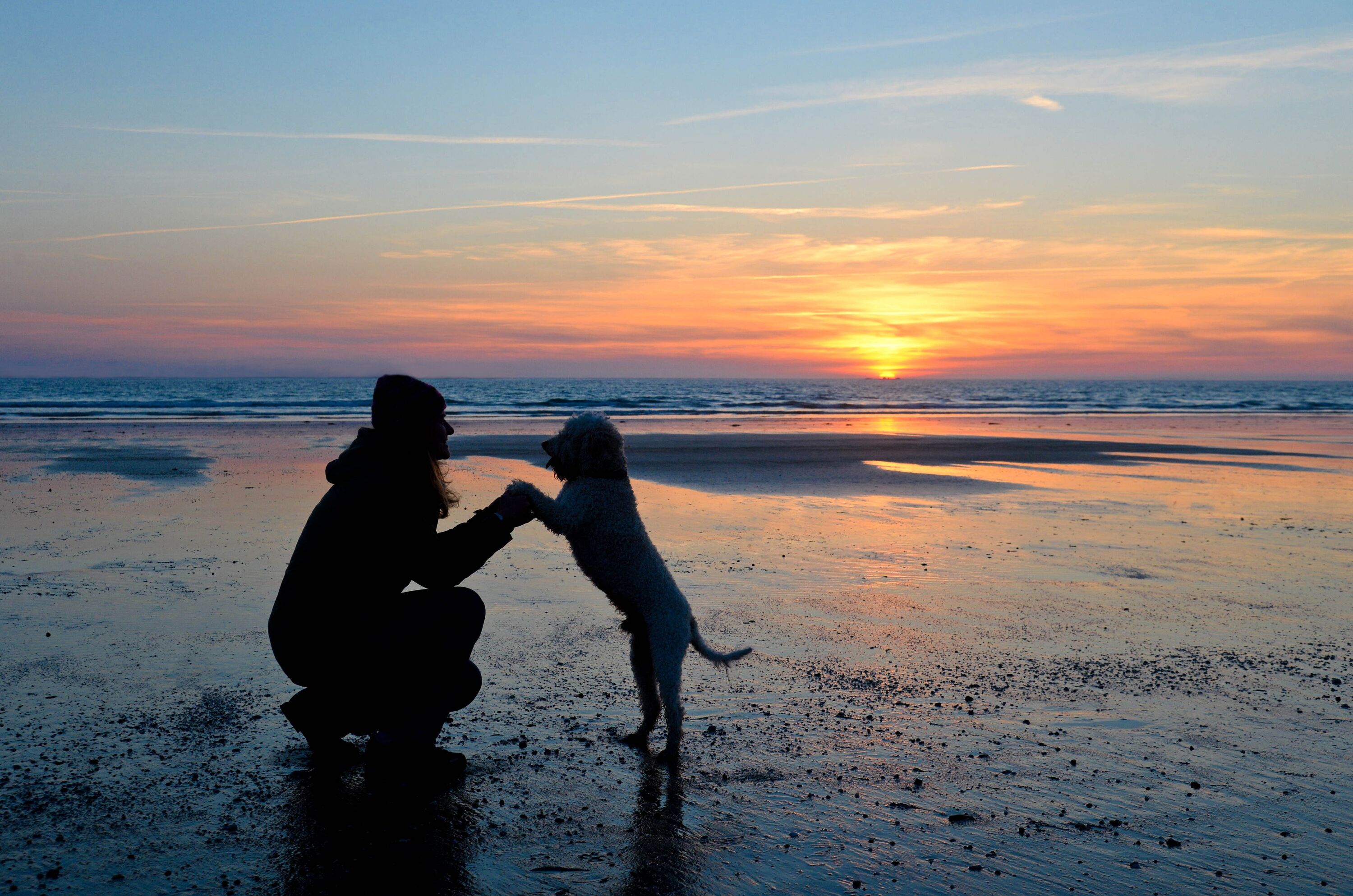 Wattwanderungen mit Hund