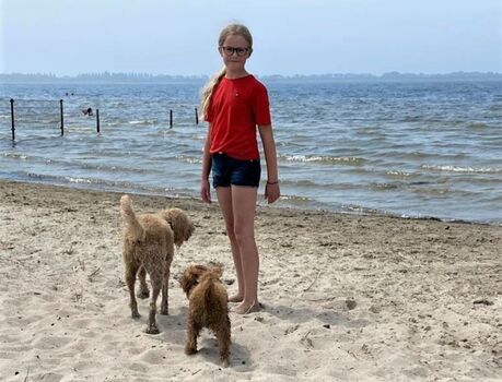 Hundestrand Lemmer
