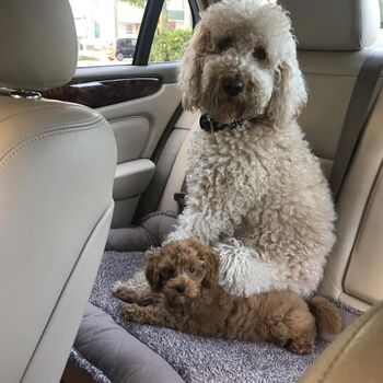 loss geht es wir warten