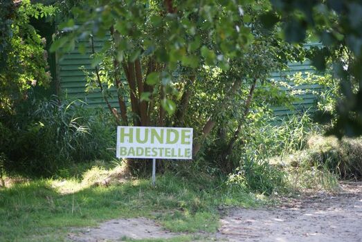 Hundebadestelle im Ferienpark