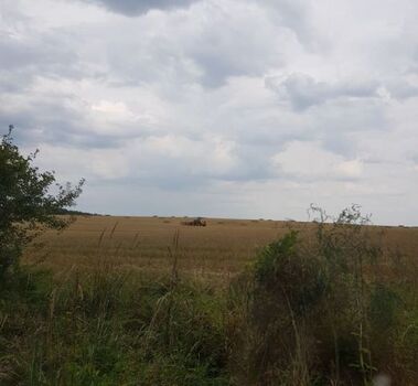 Ihr unmittelbarer Nachbar: das Feld