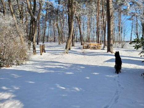 ...einfach schön zu jeder Jahreszeit