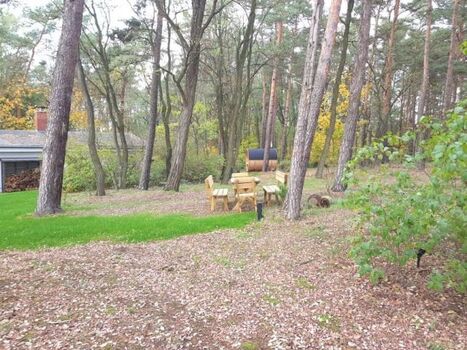 Blick aus dem eigenen Wald zu Waldsitzgruppe, Haus und Saunafass