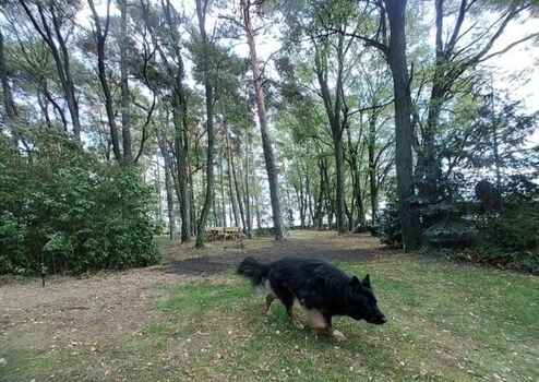 ..der (ent)spannende perfekte  Hundeurlaub