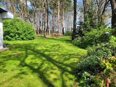 Blick vom extra eingezäuntem Terrassen-Bereich direkt auf das riesige Wald-Grundstück