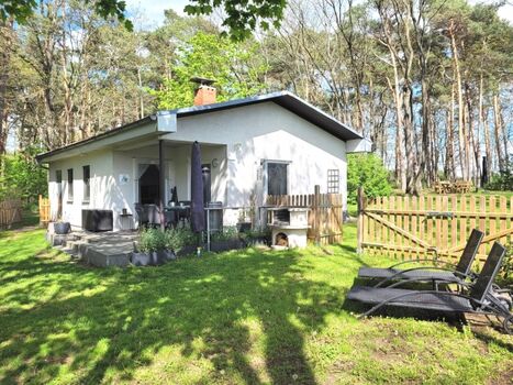 Das Ferienhaus mit kleinem separat eingezäunten Garten-Bereich -umgeben vom Wald-Grundstück
