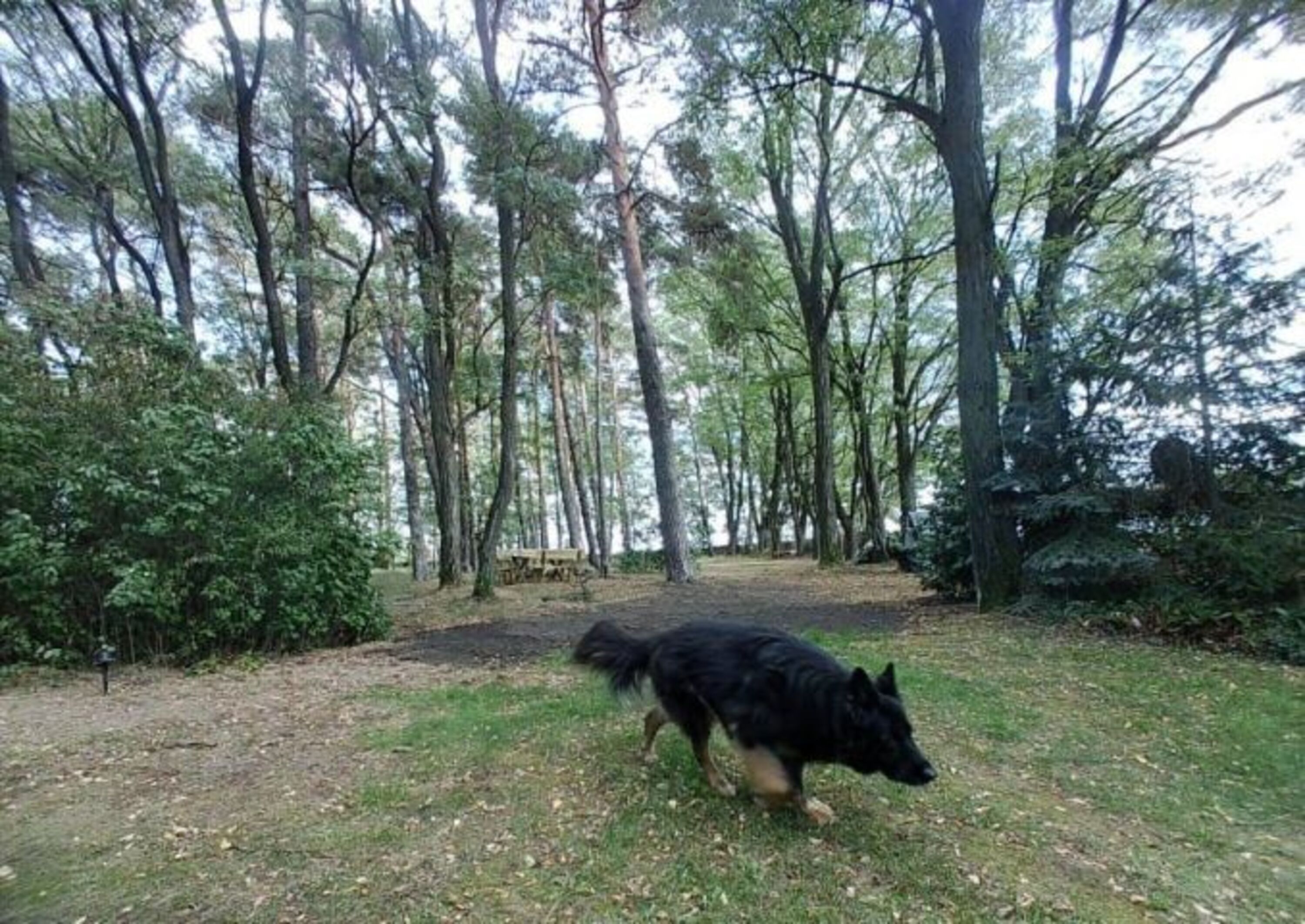 ..der (ent)spannende perfekte Hundeurlaub