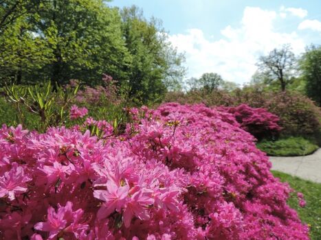 Schlosspark Lütetsburg