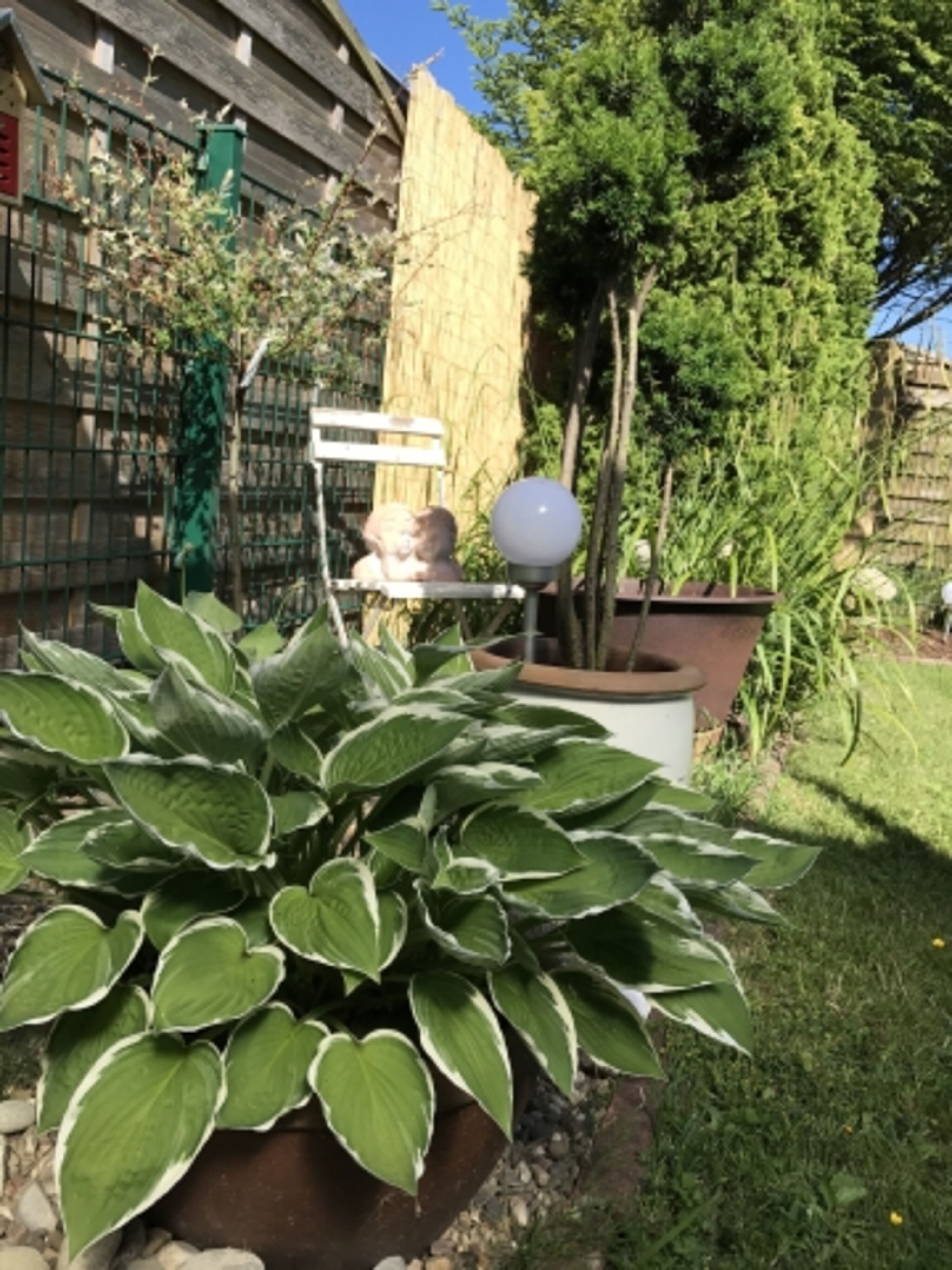 Garteneindruck