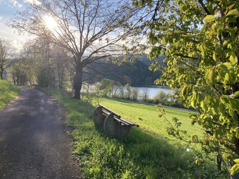 Blick auf den Edersee