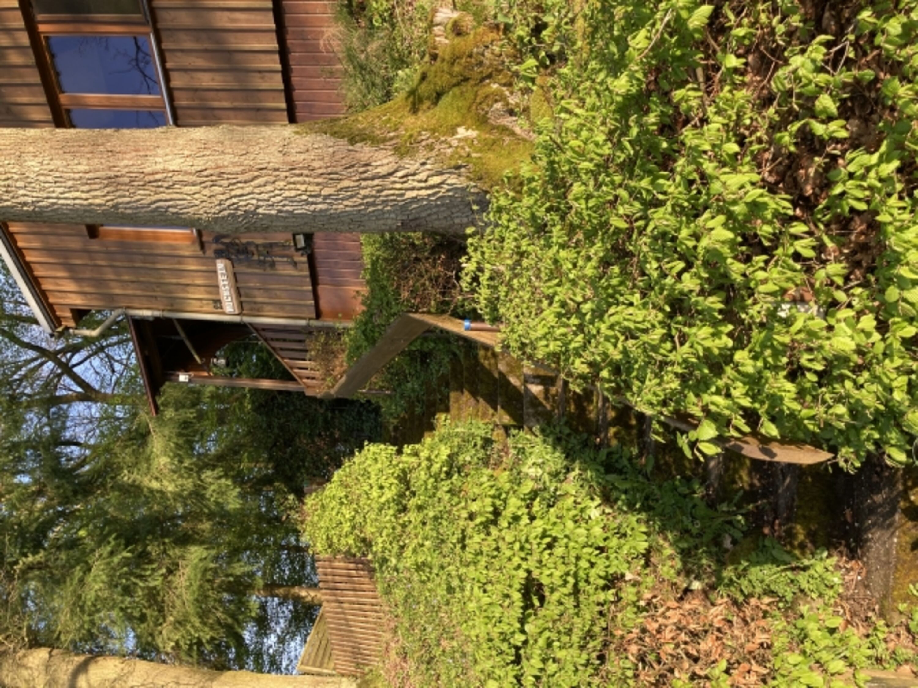 Treppe zum Haus