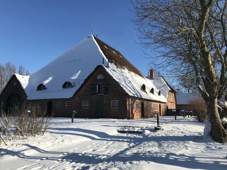 haubarg am meer im Winter