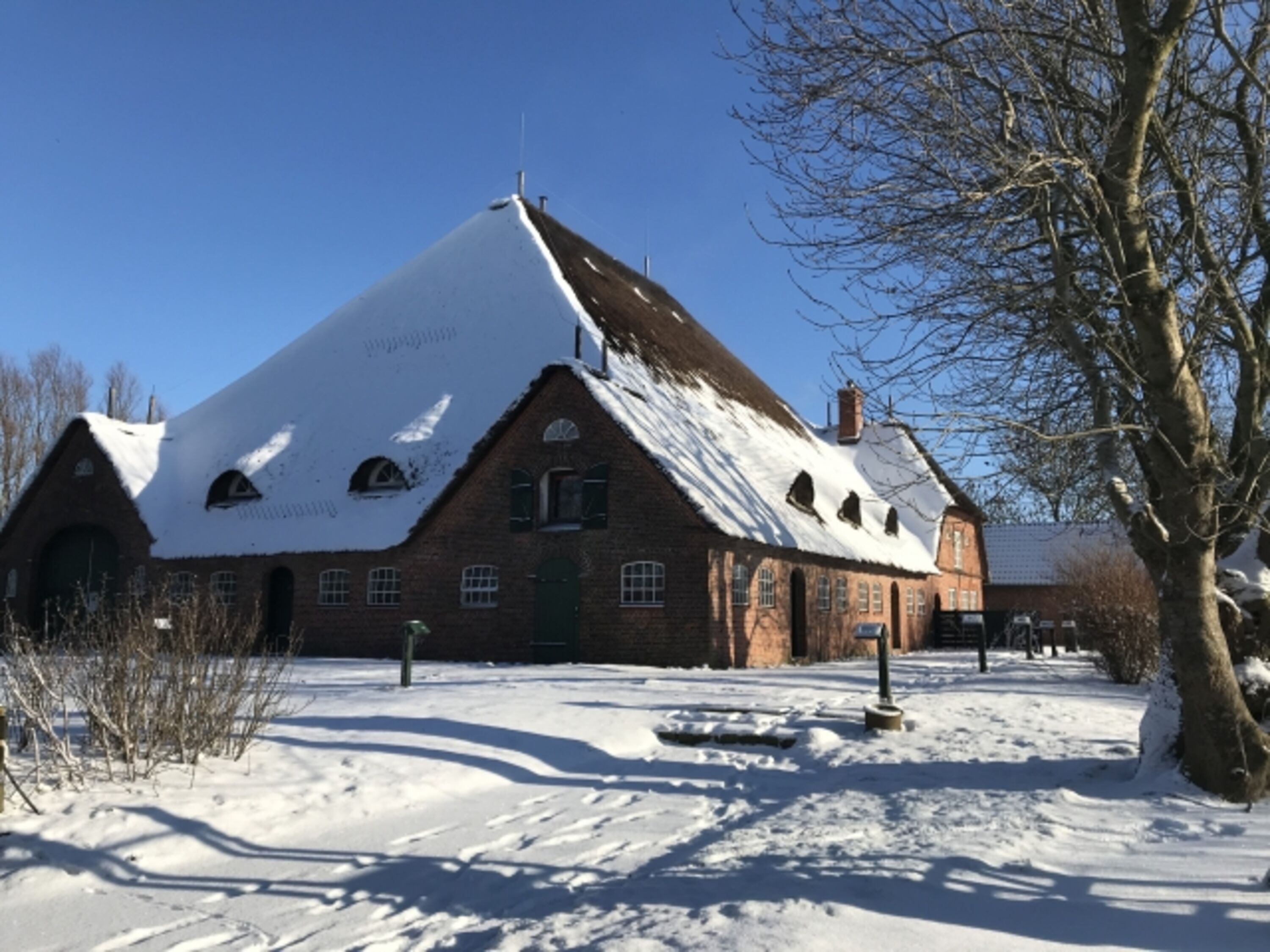 haubarg am meer im Winter