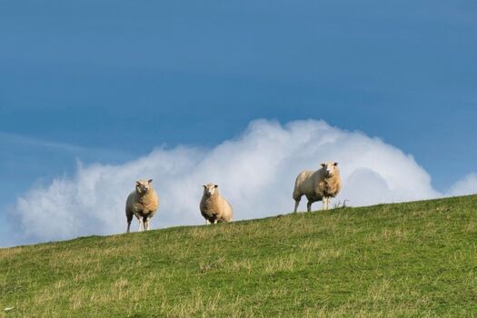 Impressionen von der Umgebung 