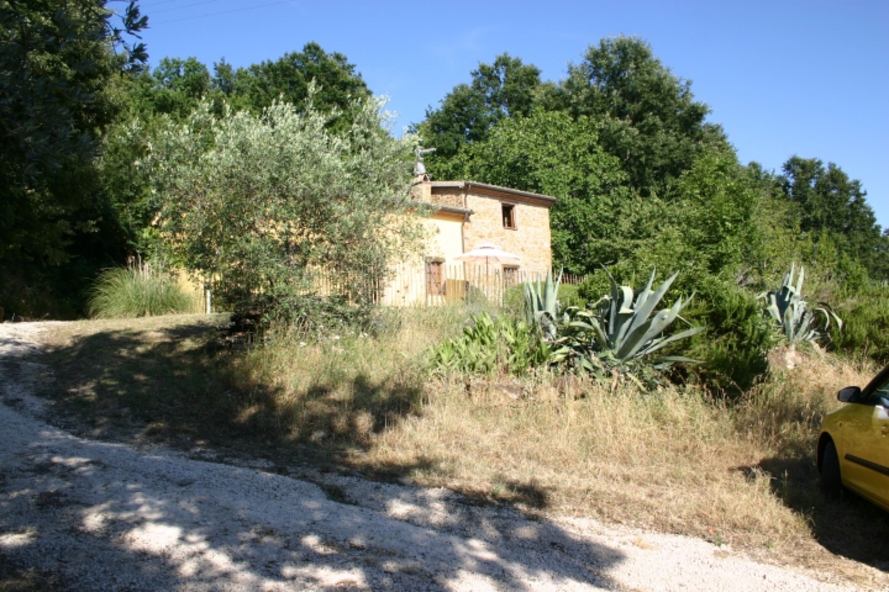 Bild 5
