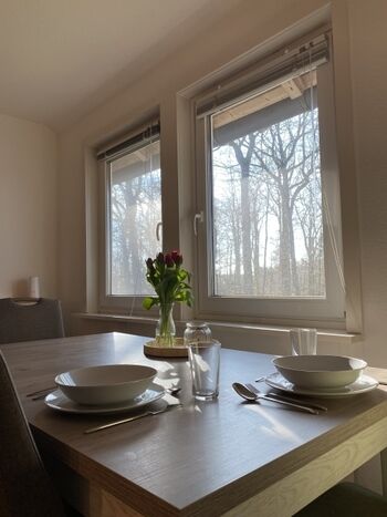 Blick in das gegenüberliegende Wäldchen