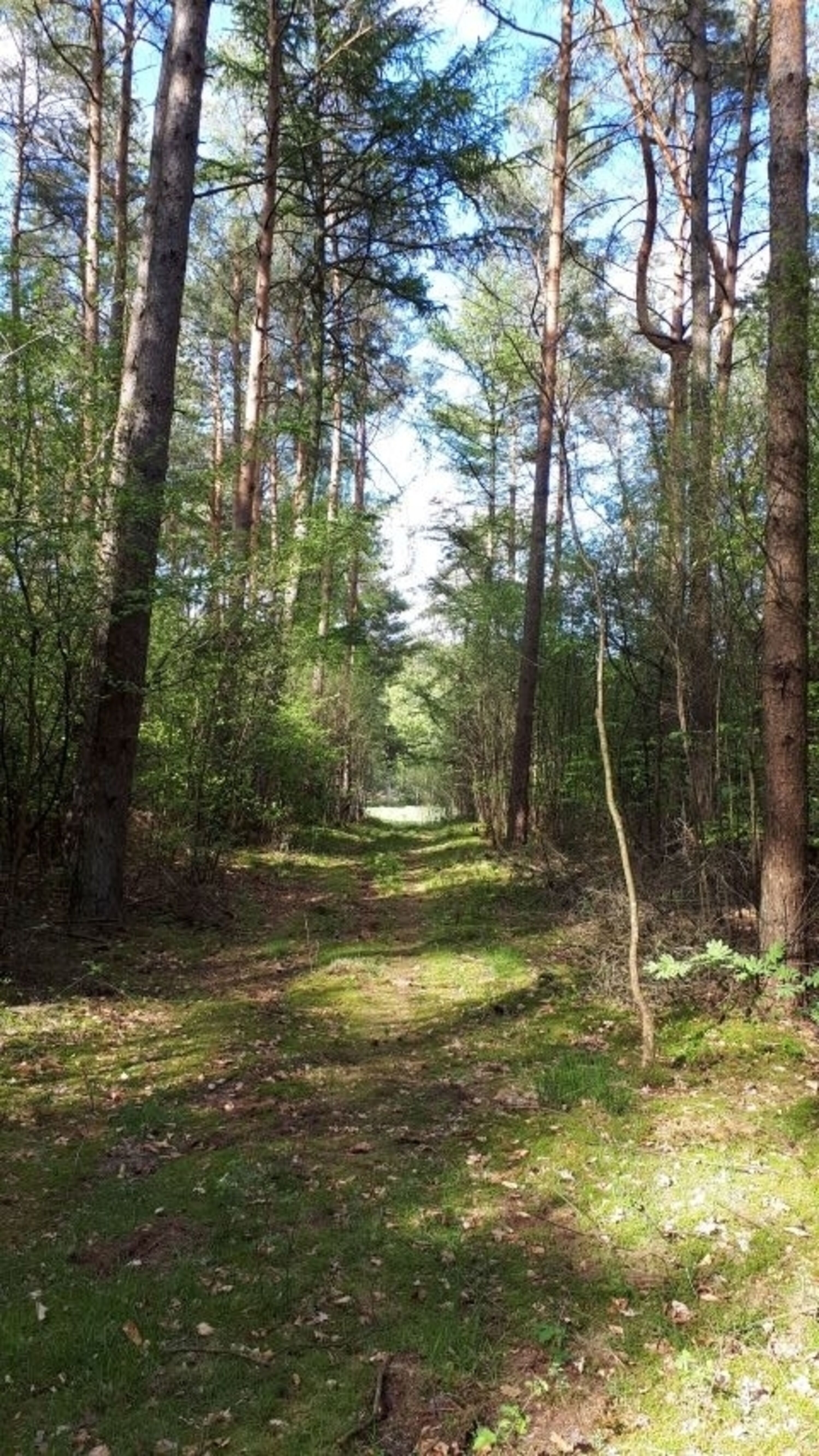 Bild 19