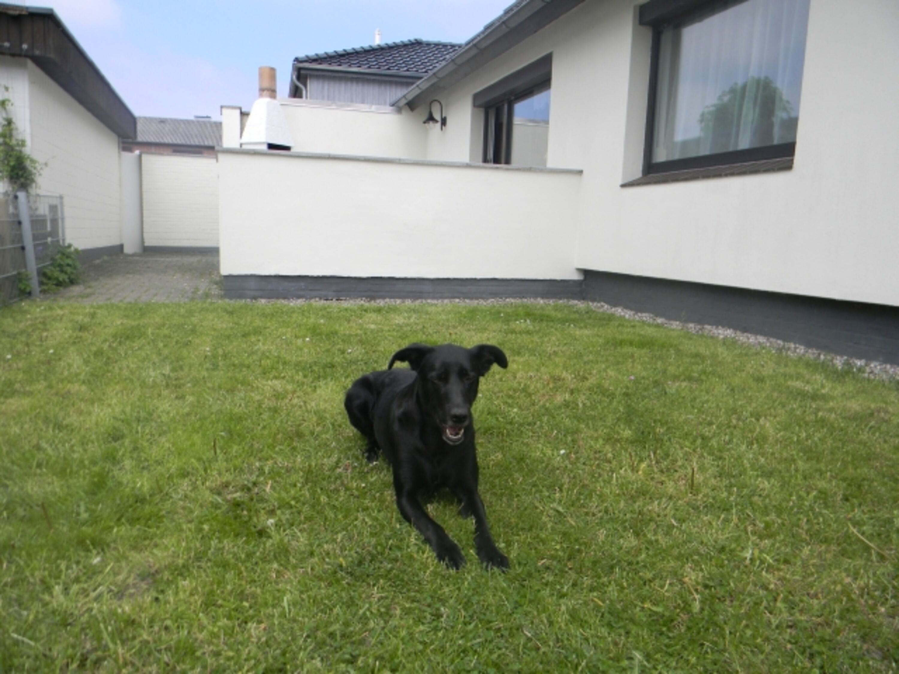 Unser Jacky 